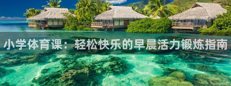 球派体育最新版：小学体育课：轻松快乐的早晨活力锻炼指南