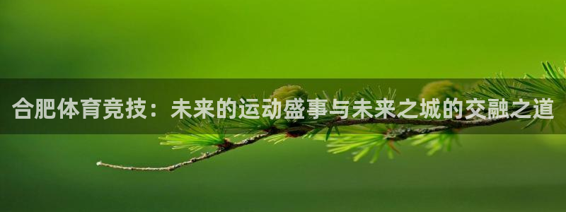 球派体育有风险吗：合肥体育竞技：未来的运动盛事与未来之城的交融之道