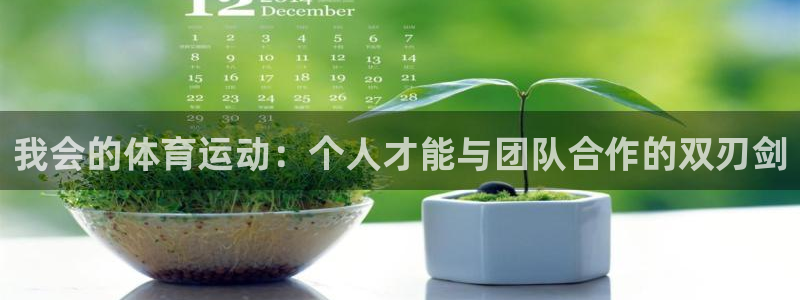 球派体育官方免费下载手机版：我会的体育运动：个人才能与团队合作的双刃剑