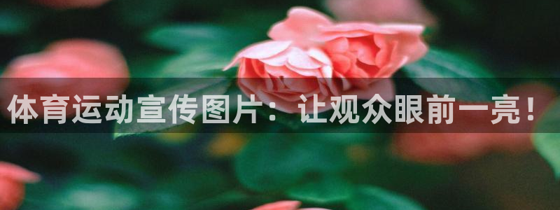 球派体育手机版app：体育运动宣传图片：让观众眼前一亮！