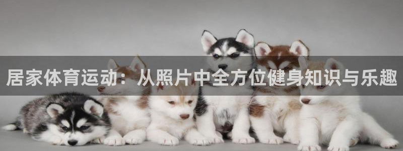 球派体育在线直播：居家体育运动：从照片中全方位健身知识与乐趣