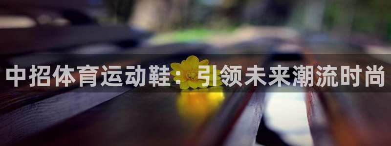 球派体育网址入口：中招体育运动鞋：引领未来潮流时尚