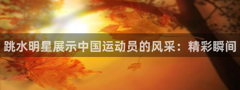 球派体育app官方下载：跳水明星展示中国运动员的风采：精彩瞬间