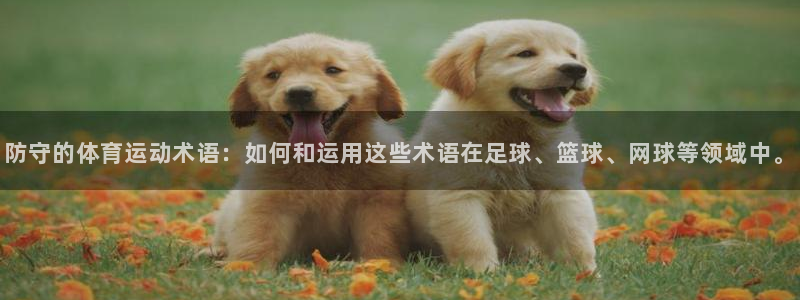 球派体育app下载安装手机版最新：防守的体育运动术语：如何和运用这些术语在足球、篮球、网球等领域中。