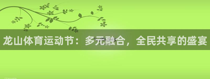 球派体育官方免费下载手机版：龙山体育运动节：多元融合，全民共享的盛宴