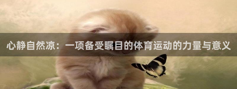 球派体育荣耀手机下载：心静自然凉：一项备受瞩目的体育运动的力量与意义