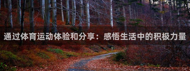 球派体育最新版：通过体育运动体验和分享：感悟生活中的积极力量